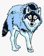 Clip Art Coyote Arctic Wolf Vector Graphics Tattoo - Wolf Png Clipart,  Transparent Png , Transparent Png Image - PNGitem